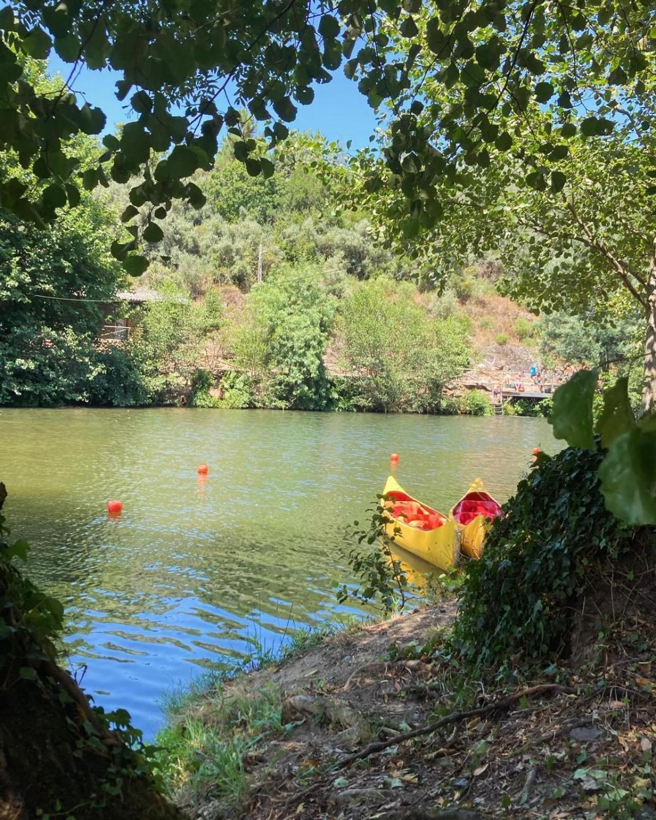 Vila Delfina Lousã Dış mekan fotoğraf