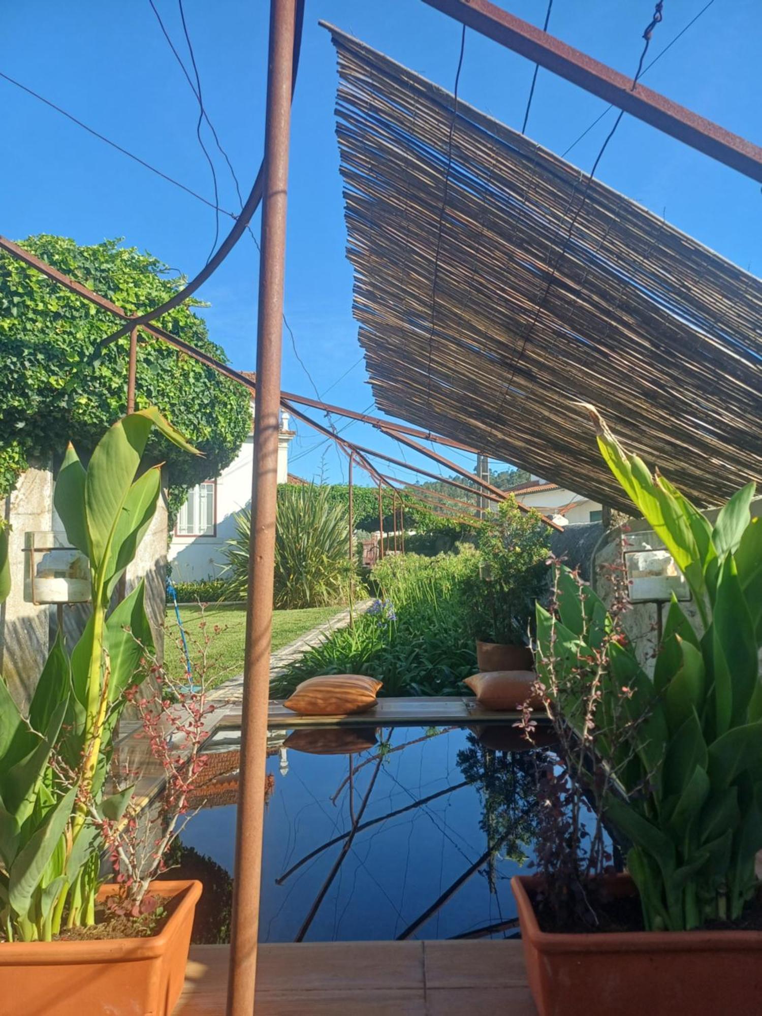 Vila Delfina Lousã Dış mekan fotoğraf